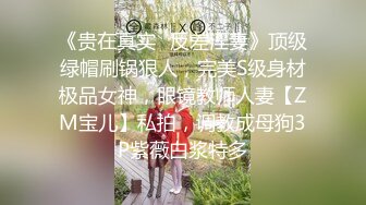 《贵在真实✿反差淫妻》顶级绿帽刷锅狠人，完美S级身材极品女神，眼镜教师人妻【ZM宝儿】私拍，调教成母狗3P紫薇白浆特多