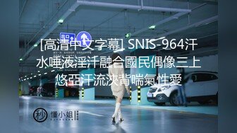 [高清中文字幕] SNIS-964汗水唾液淫汁融合國民偶像三上悠亞汗流浹背喘氣性愛