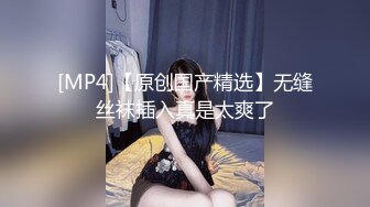 情趣酒店拍到的刚下班的长裙美眉与同事偷腥 对白清晰[MP4/437MB/BS]