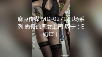 麻豆传媒 MD-0271 职场系列 傲慢的恶女上司 周宁（E奶蝶）