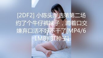 渡边传媒DB-013《我的操能力系列》高傲爆乳