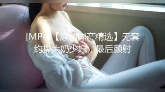 威猛先生的孤独寂寞