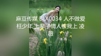 麻豆传媒 BLX0034 人不做爱枉少年 上辈子情人被我上 凌薇