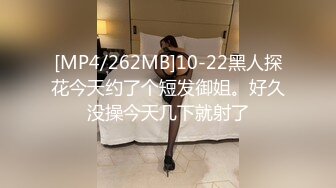 美しい人妻のねっとり甘い接吻と高級ランジェリーSEX 田舎育ちの僕を誘惑する都会暮らしの叔父の妻 三尾惠