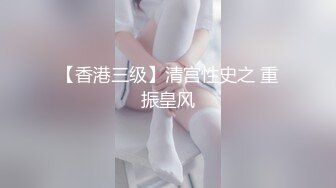 【香港三级】清宫性史之 重振皇风