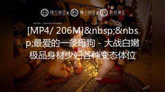 [MP4/ 206M]&nbsp;&nbsp;最爱的一条母狗 - 大战白嫩极品身材少妇各种变态体位