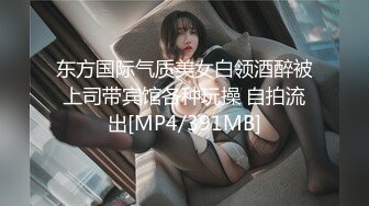 车震 天津小少妇