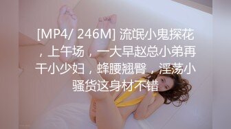 [MP4/ 246M] 流氓小鬼探花，上午场，一大早赵总小弟再干小少妇，蜂腰翘臀，淫荡小骚货这身材不错