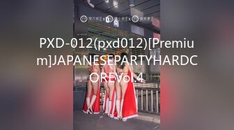 PXD-012(pxd012)[Premium]JAPANESEPARTYHARDCOREVol.4