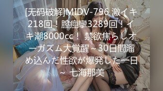 国产麻豆AV MD MD0176 淫魔仲介卖房术 新人女优 韩熙