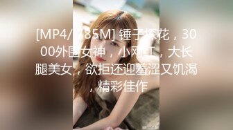 [MP4/ 785M] 锤子探花，3000外围女神，小网红，大长腿美女，欲拒还迎羞涩又饥渴，精彩佳作