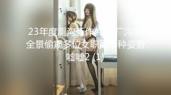 23年度厕沟新作 纸箱厂沟厕全景偷窥多位女职员各种姿势嘘嘘2 (1)