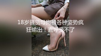 极品美女老婆3p