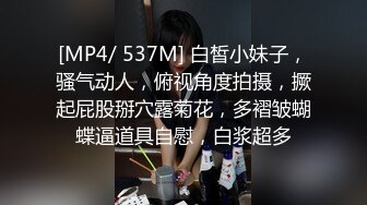 盗站流出购物商场坑内仰视角偸拍女士方便大屁股菊花肥鲍鱼最直观的欣赏角度4K画质