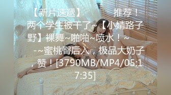 传媒 MCY0082 极品淫娃女仆靠逼上位 李允熙