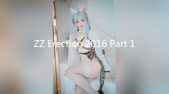 ZZ Erection 2016 Part 1