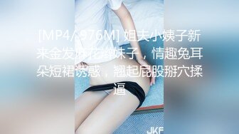 91入会粉丝群专享，极品淫荡骚妻【爱丽丝】福利私拍第三弹，各种情趣制服，进出特写，对话超淫荡