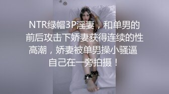 NTR绿帽3P淫妻，和单男的前后攻击下娇妻获得连续的性高潮，娇妻被单男操小骚逼 自己在一旁拍摄！