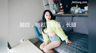 麻豆传媒 MD-0265 丰满汽车女销售的车震推销-莫夕慈