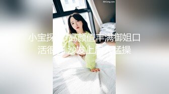 小宝探花-高颜值丰满御姐口活很好 沙发上后入猛操