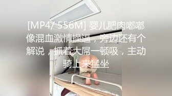 魅惑女仆