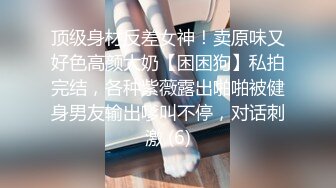 顶级身材反差女神！卖原味又好色高颜大奶【困困狗】私拍完结，各种紫薇露出啪啪被健身男友输出嗲叫不停，对话刺激 (6)