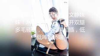 XSJTC-10 吴文淇 约见骚淫女上司的疼爱 性视界传媒