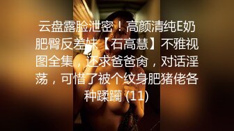 云盘露脸泄密！高颜清纯E奶肥臀反差妹【石高慧】不雅视图全集，还求爸爸肏，对话淫荡，可惜了被个纹身肥猪佬各种蹂躏 (11)