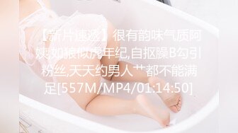 [MP4]國產AV SA國際傳媒 SAT0041 台北婊子圖鑒 羽芮(壞壞)