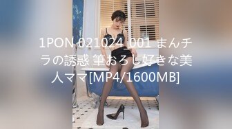 1PON 021024_001 まんチラの誘惑 筆おろし好きな美人ママ[MP4/1600MB]