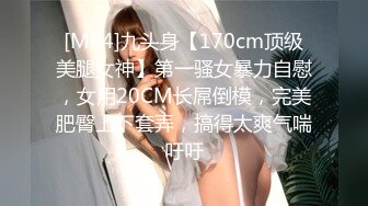 MFK-0027 FLIXKO 家政妇：妻子的朋友 麻豆传媒映画