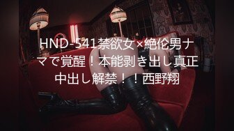 HND-541禁欲女×絶伦男ナマで覚醒！本能剥き出し真正中出し解禁！！西野翔