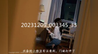 《极品CP魔手外购》良家少妇大屁股篇！坑神刁钻角度清晰视觉公共女厕正后位偸拍多位少妇方便太好看了无水原画2