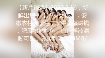 河北我的大学女友第4部