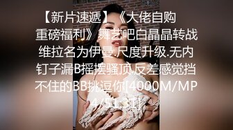 【自整理】P站amandarabbitxxx  车震 双飞 公共卫生间做爱 和情人在一起的各种性福  最新大合集【NV】 (40)