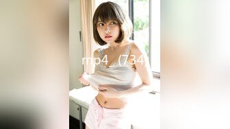 mp4_ (734)