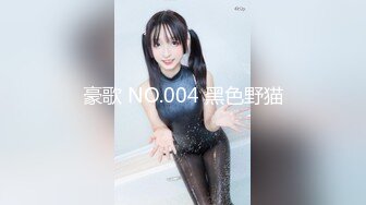 豪歌 NO.004 黑色野猫