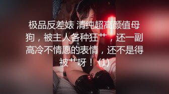 极品萝莉窈窕网红女神粉发开档黑丝 后入专属肉便器 情欲四射肉欲冲击