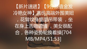 霸王别姬 1_5 第三集