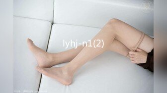 lyhj-n1(2)