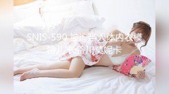 VNDS-0290(h_170vnds00290)[NEXTGROUP]若妻不倫紀行