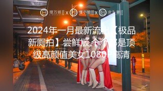 HMN-559 成功拍摄完全私人性爱影片 真实AV女优闺蜜双人组 逆搭讪 山岸绮花 美谷朱音[中字高清](BVPP無碼破解)